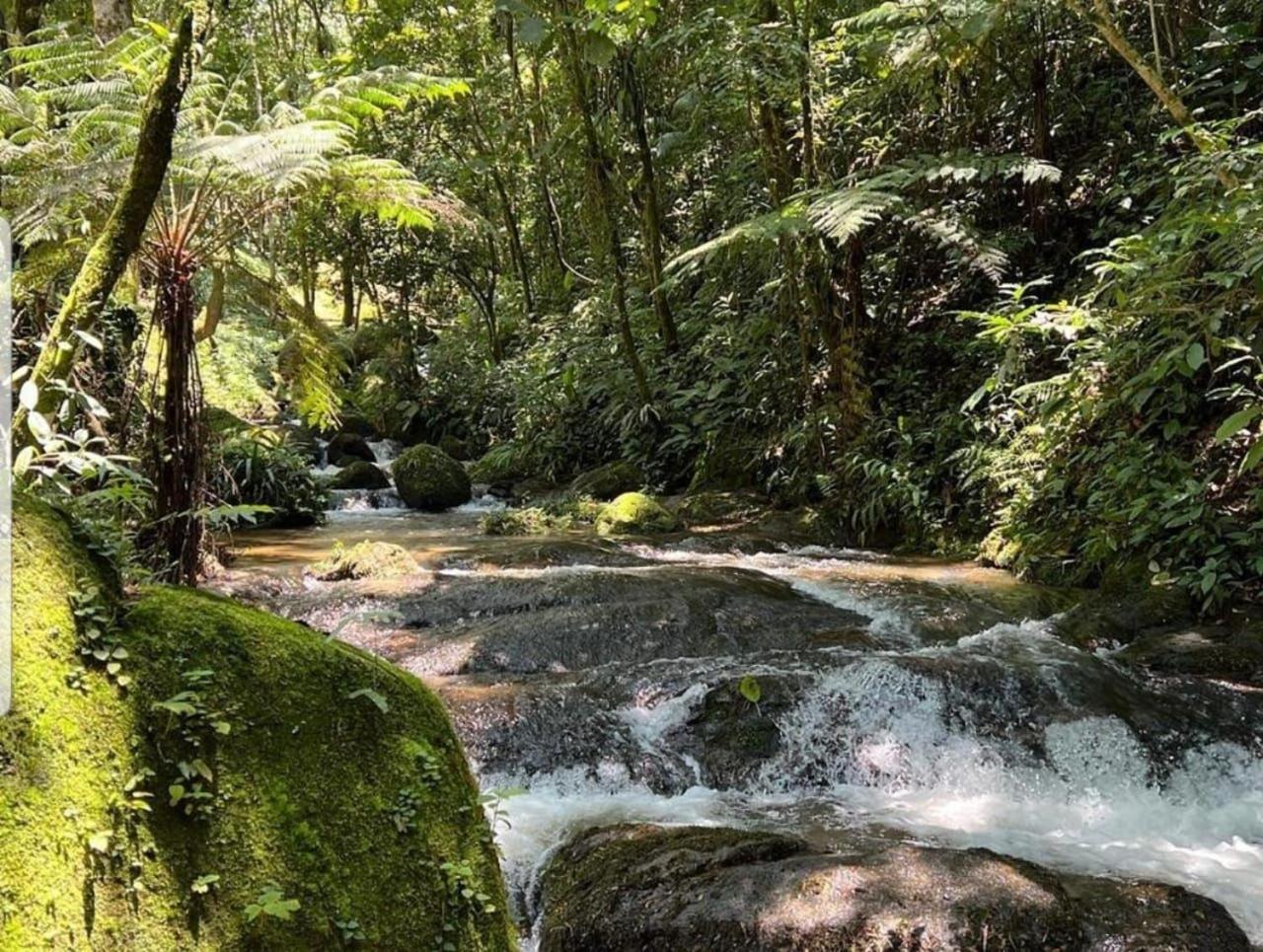 Pousada Caminhos De Gaia Sao Francisco Xavier Luaran gambar